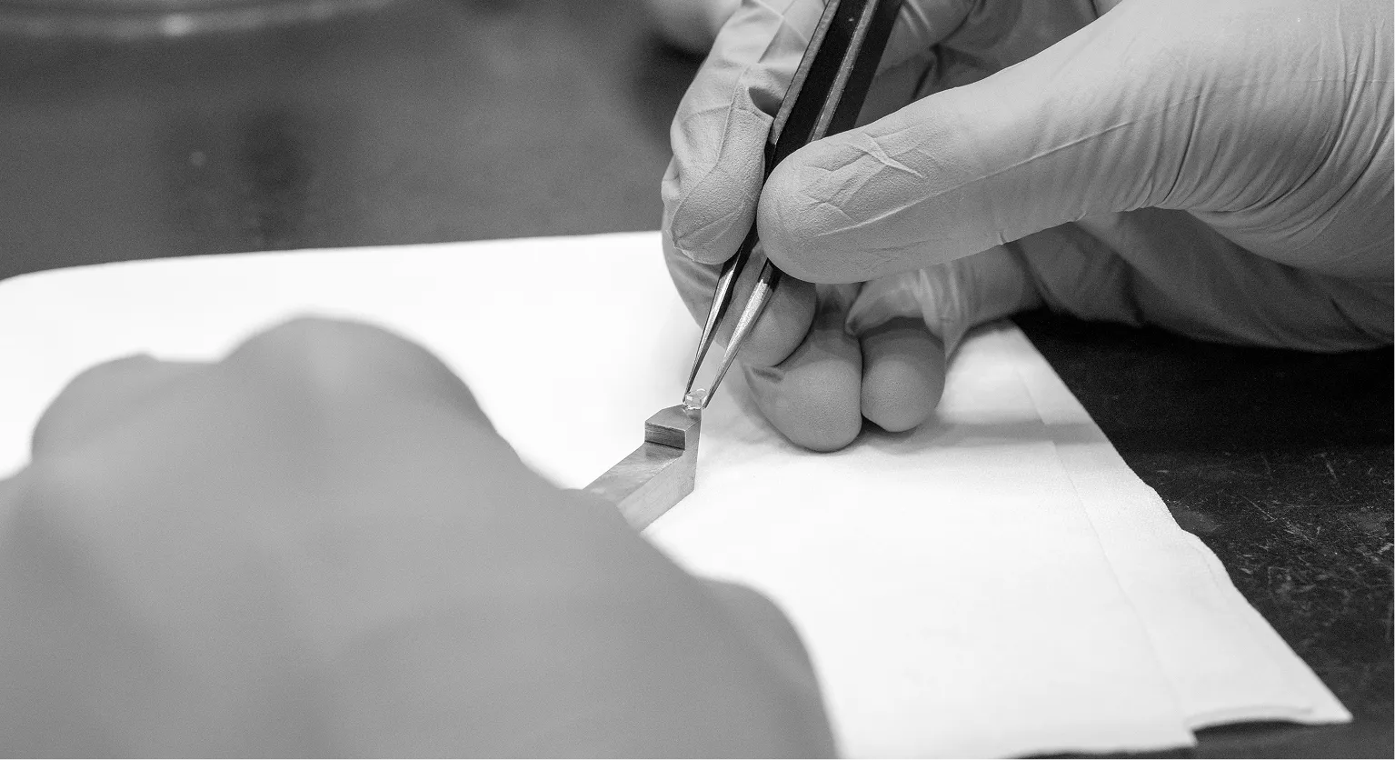 SustainabilityBeyondImg1